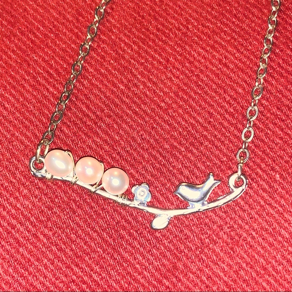 A Mama Bird & her 3 eggs Silver/Pearl Necklace